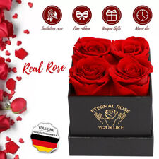 Edel Infinity Rosenbox 4 echte