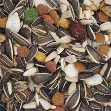 Versele Amazonen Papageien Loro Parque 15kg