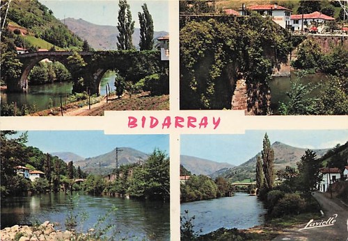 64-BIDARRAY-NOBLIA