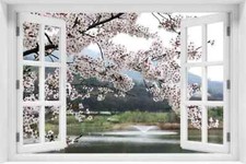 Fototapete 3D WANDBILD