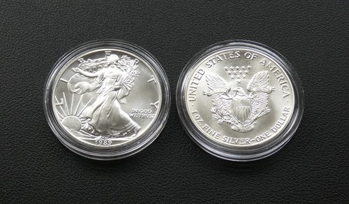 Usa dollar 1989 silber - ,