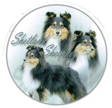 Aufkleber Motiv 1 Shetland
