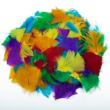 Bastelfedern 250 ca. pro