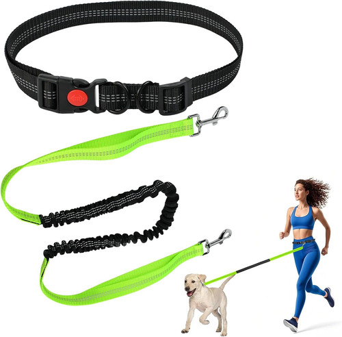 Hundelaufleine mit bungee - mit,