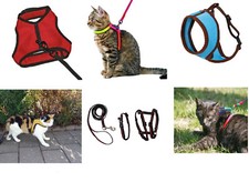 versch. Katzengeschirr Sport