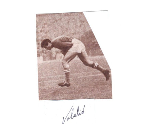 Milan vukelic 2012 - +2012,