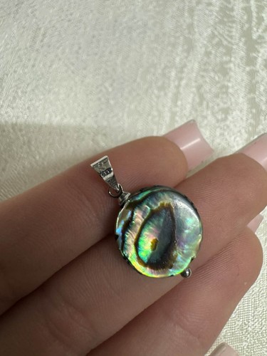 Natürlicher abalone muschel - abalone,