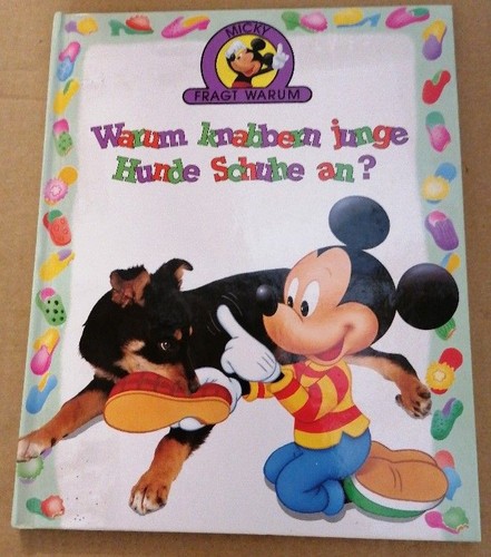 Warum knabbern junge - , hunde