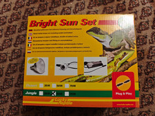 Schildkröte Wärmelampe