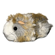 Piept: Meerschweinchen