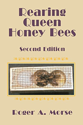 Rearing queen honey bees - honey,