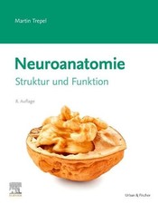 Neuroanatomie Struktur und