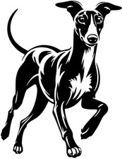 WHIPPET Aufkleber - Whippet