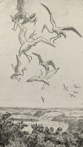 Hans thoma wonne des fliegens - hans,