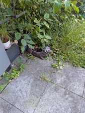 Pflanzenaufzucht Turm, Gewächshaus Treibhaus Mini Frühbeet Kräuter