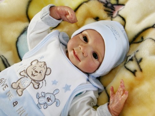 Reborn baby felix anette - v.,