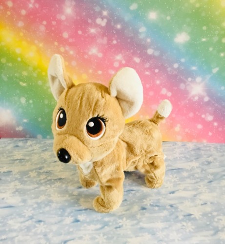 Simba chi love - simba,