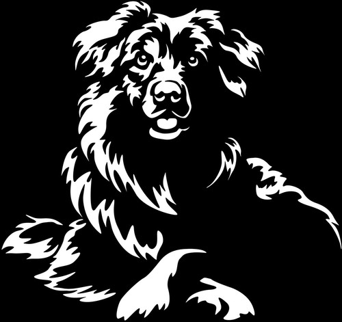 Australian shepherd aufkleber - shepherd,
