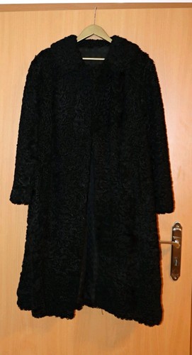 Echter persikaner karakul - persikaner,
