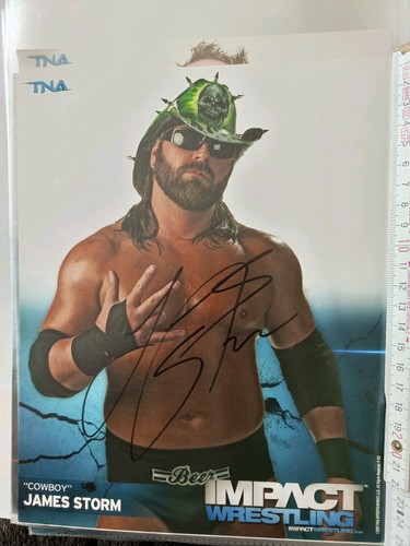James storm tna - storm,