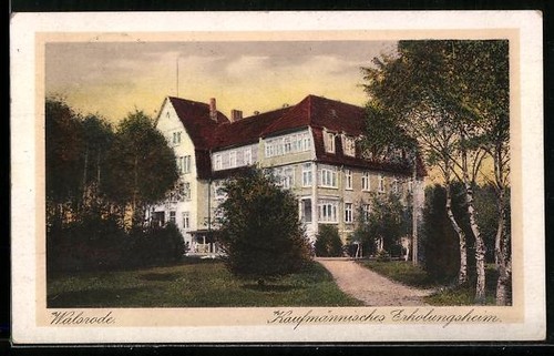 Ansichtskarte walsrode - ansichtskarte,