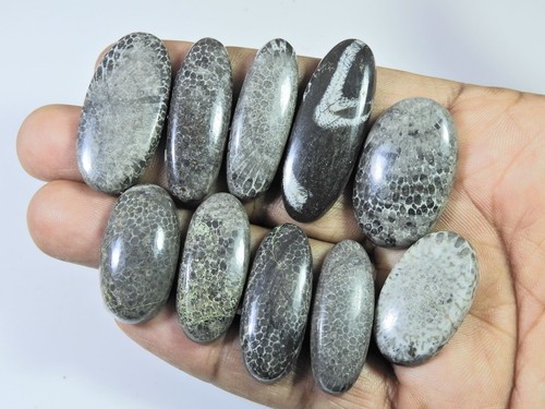 268cts natürliche schwarze - 268cts.,