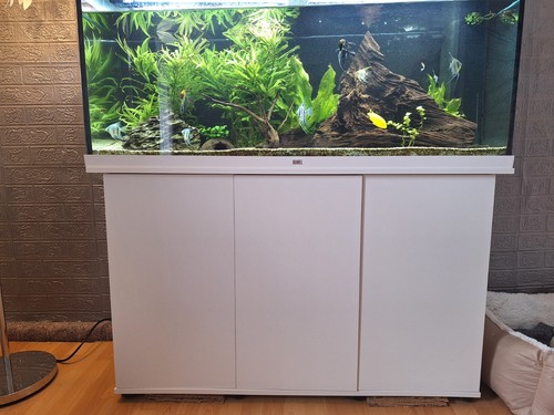 Aquarium komplett mit - komplett,