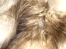 Russischer Zobel-Pelzmantel, elegant,  luxuriöser Kurzmantel, Silberspitzgranne