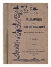 Pfleiderer, I Glimpses Into