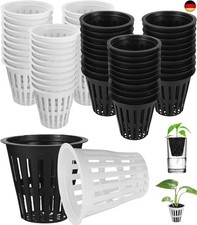 Ixydor 60 Stück Hydrokultur