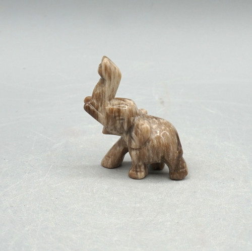 Wunderschöner elefant - wunderschöner,
