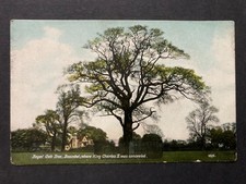 The Royal Oak Tree Boscobel