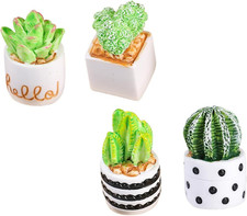 4 Stück Teiliges Mini Kaktus