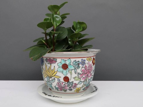 China porzellan blumentopf - porzellan,