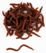 25/50 St. KÜNSTLICHE REGEN