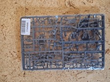 Drukhari Kabalite Warriors