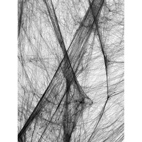 Schwarzes spinnennetz mit - schwarzes,