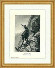 Im Hochland Gemälde von G