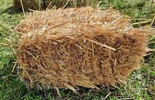 Strohballen3-5Kg, Einstreu