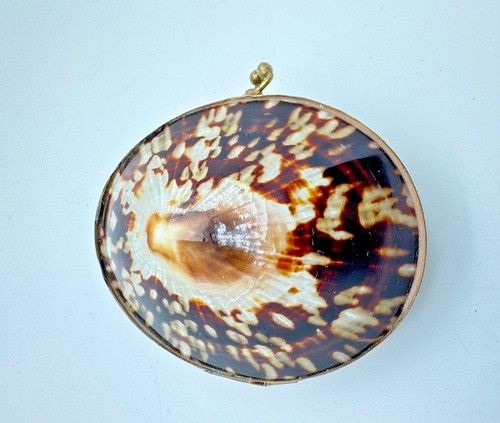 Jugendstil box muscheldose - jugendstil,