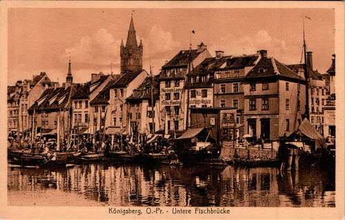 Gruss aus königsberg - ak,