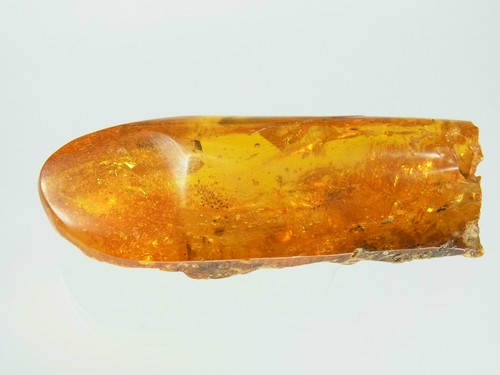Schöner großer honig - honig, amber