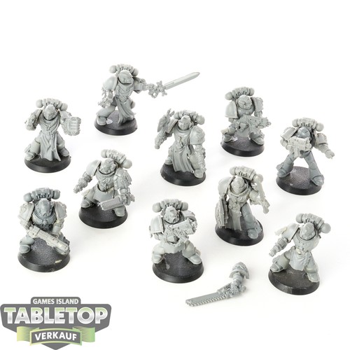 Black templars x crusader - -, 10
