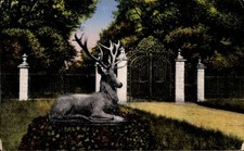 Ak Karlsruhe in Baden, Rehstatue, schmiedeeisernes Tor,... - 4941195