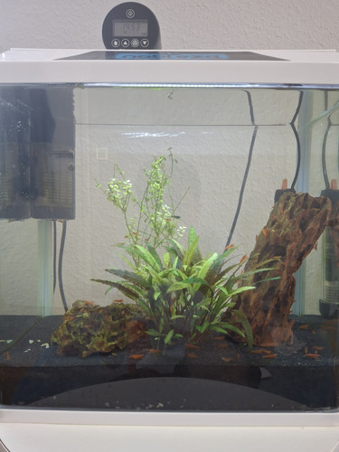 30l aquarium komplettset - aquarium,