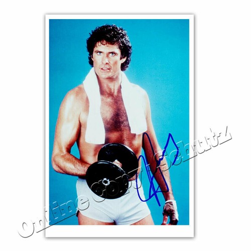 David hasselhoff aus baywatch - david,