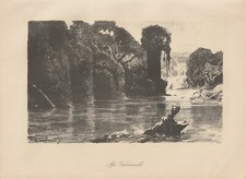 Flusspferd Nilpferd im Fluß