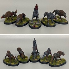 5 Dire Wölfe Vampire Counts