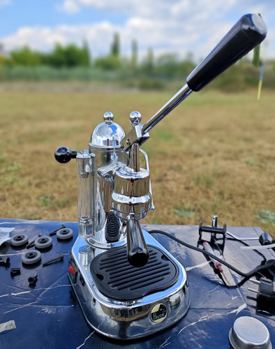 Pavoni europiccola - la,
