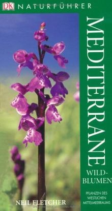 Mediterrane wildblumen - mediterrane,